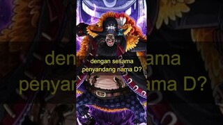 KENAPA TEACH SERING BENTROK DENGAN SESAMA PENYANDANG NAMA D ? #onepiece #teorionepiece #kurohige