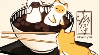 “可爱小猫的诞生方式”