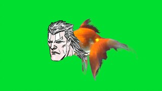 Contoh penggunaan ikan mas kecil Tiandao.GB+