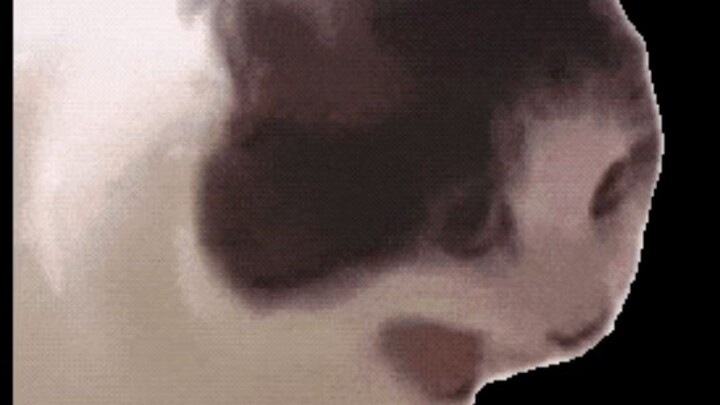 There are traces of pigs all along the way, like a timer.