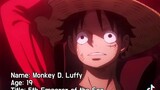 I'm A Monkey D. Luffy