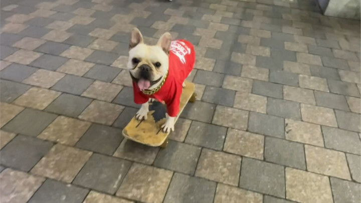 How can there be such a handsome monk who also knows how to skateboard?!