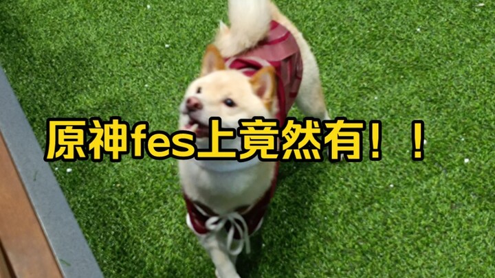 Apa saja yang ada di Genshin Impactfes?