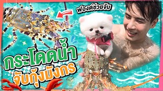 กระโดดสะพานจับกุ้งมังกรยักษ์!? น้องฟองต์น่ารักขอไปกับปะป๊าด้วย ฮาๆ