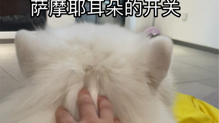 These ears are so fun!