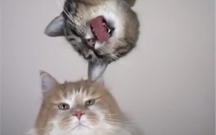 If you’re not eager to eat, there’s something wrong with your mindset.