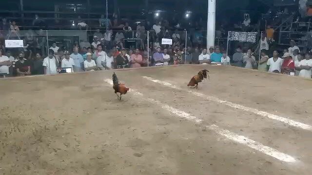2nd fight 2hits champion