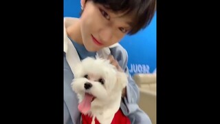 Someone is dying in the background but these two are so adorable🥰#seventeen #the8#seungkwan#jeonghan