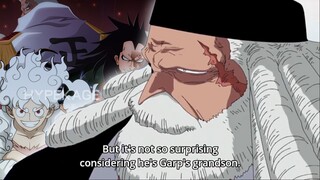 Gorosei is heading to Egghead Island - ONE PIECE 1073 REVIEW