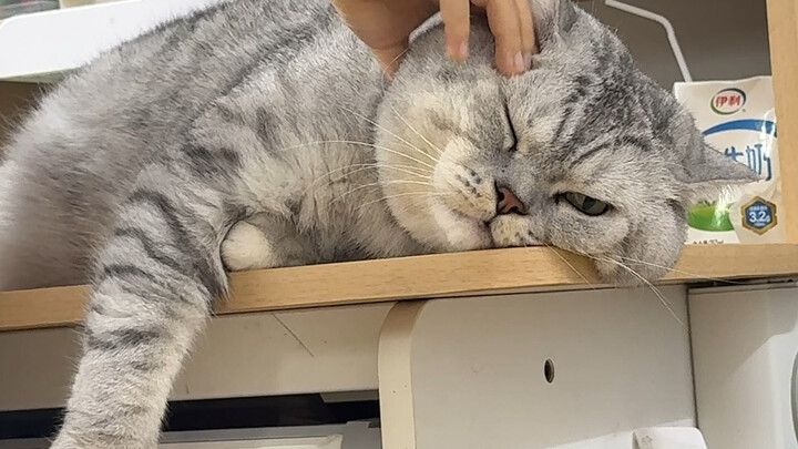 ต้าจ้วงกับน้องชายเล่นสนุกกันเบาๆ