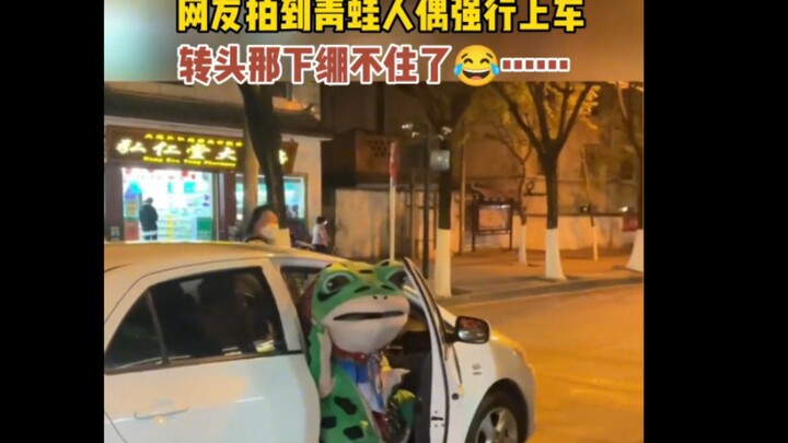Cư dân mạng quay được cảnh búp bê ếch cố tình chui lên xe, trông hài hước quá! Tha thứ cho tôi vì đã