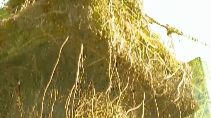 Is the zombie baby actually humanity's hope? The shocking truth behind "The Gifted Daughter"