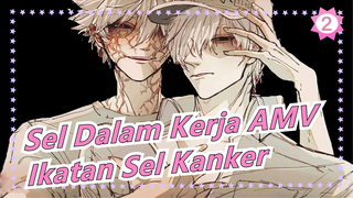 [Sel Dalam Kerja AMV] Ikatan Sel Kanker_2