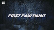 &TEAM Concert Tour 'FIRST PAW PRINT' (2024)