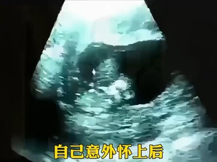 Hai cha con giống hệt nhau, giống y như đúc.