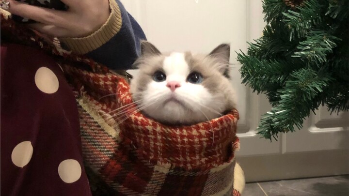 แม่คะ จริงๆ แล้วหนูไม่ได้หนาวขนาดนั้นนะคะ