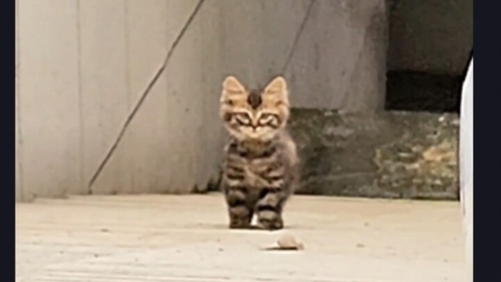 她是真的很想跟我回家