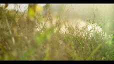 Vụ trộm lịch sử ngân hàng trung ương Brazil EP 3 [Sub Việt]