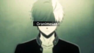 AMV Trailer Wind Breaker S2