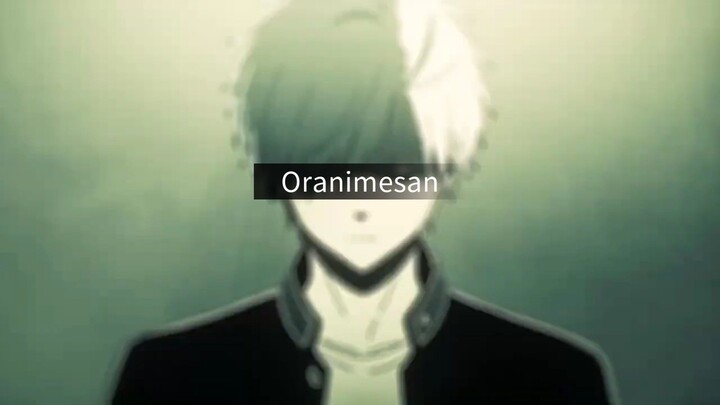 AMV Trailer Wind Breaker S2