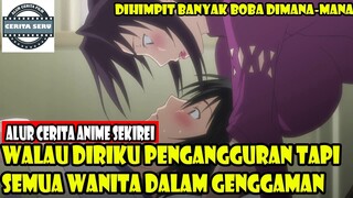 WALAU DIRIKU PENGANGGURAN TAPI SEMUA WANITA DALAM GENGGAMAN - ALUR CERITA ANIME ROMANTIS OVERPOWER