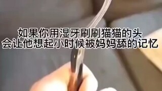 “Cậu, cậu biến mẹ thành bàn chải đánh răng à?”