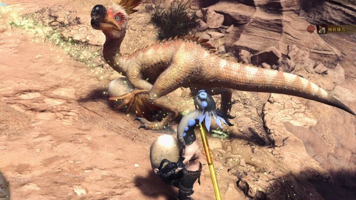 Sassy Bird: Bro, wanna buy a cheat?