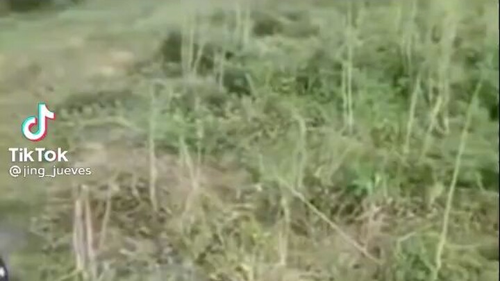 Mapapakinabangan.mp4