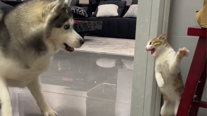 Doggy, I almost got beaten up in the village!