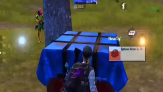 Main Solo Squad !?? Jangan Pernah Diam Ditempat !!