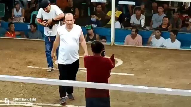 Kambing Fastest kill winner