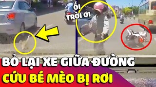 Bỏ lại xe máy 'GIỮA ĐƯỜNG' để chạy đến 'CỨU BÉ MÈO' bị rơi, cô gái gây 'TRANH CÃI' 😯 Gâu Đần