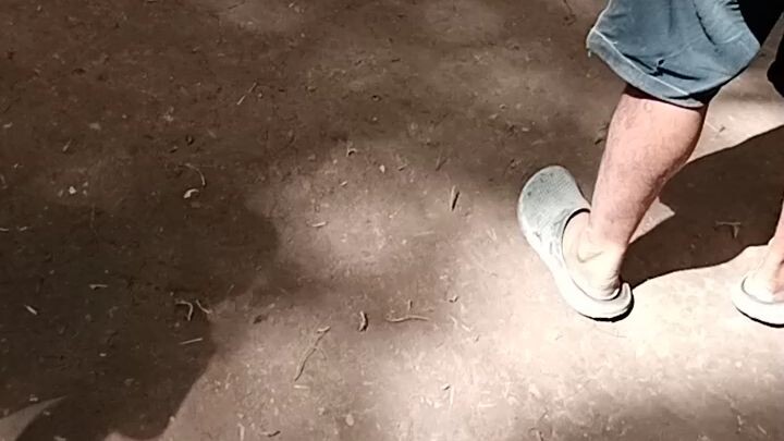 sipag lang