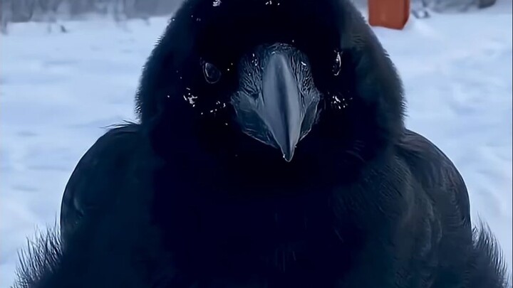 Yao’er is so cute!