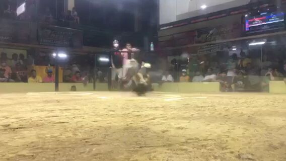 5stag derby champion 💪🏆