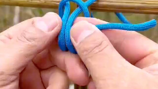 ราชาแห่งปมเชือก