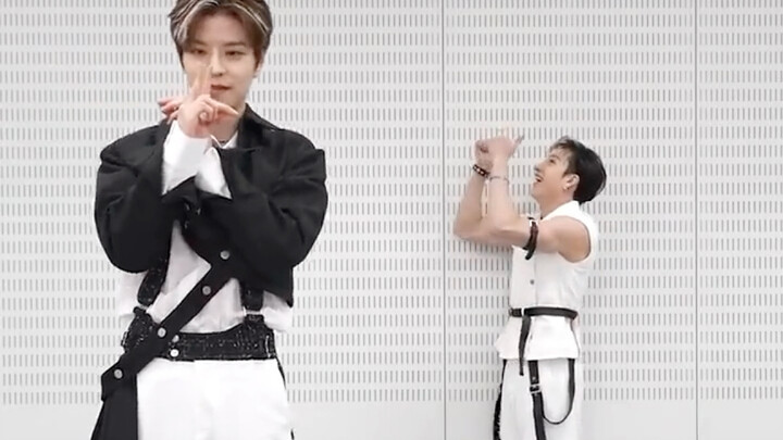 فصيلة الكلاب | تحدي "The Sound" على تيك توك