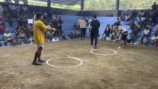 Cobra Sinibalang, sinaglit lang ang kalaban!