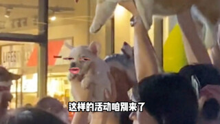 法斗：别整，姐，我真社恐了