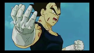Dragon Ball, those two invincible men