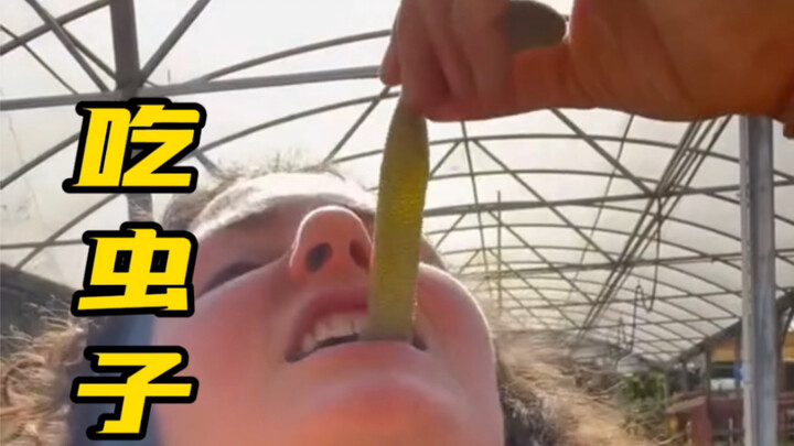 A lot of people probably love this “bug” because it’s a fruit that looks like a worm — #GummyWormFru
