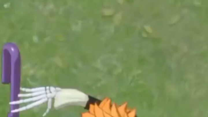 brook one piece