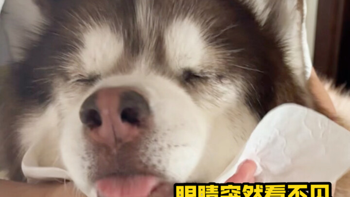 Bangun pagi, mataku tidak bisa melihat, lagi-lagi hari yang membuat suasana hatiku naik turun sepert