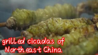 grilled cicadas of Northeast China
