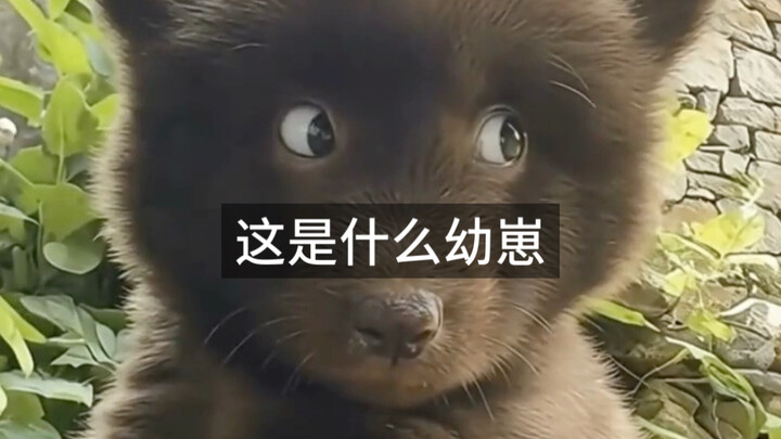 ตอนที่ 123: นี่มันลูกสัตว์อะไรกัน