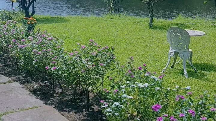 প্রথম ভিডিও আপলোড দিলাম সাপোর্ট না দিলে খবর আছে তদের 😑 #bilibi #reels
