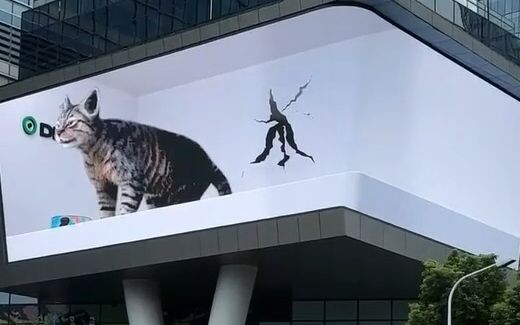 Watching some kittens in naked-eye 3D