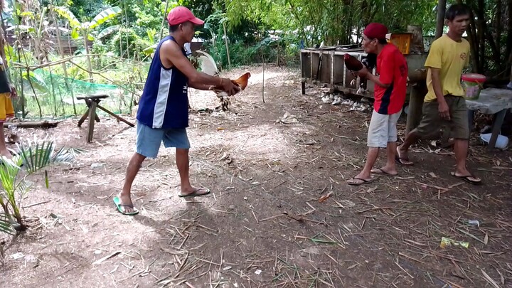 tabla Buti nka bawi. alanganin  pag bitaw