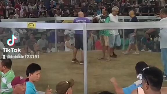 backyard (Peruvian 1st fight)