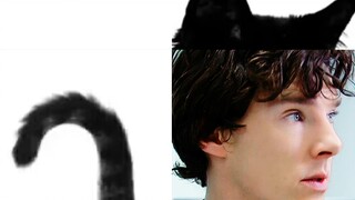 【Sherlock】少把黑发男当黑猫!!!